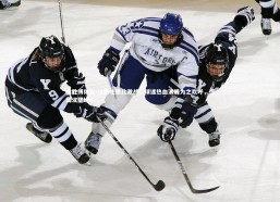 易胜博体育-汉堡北德比激战，球迷热血沸腾为之欢呼，德国汉堡bbi