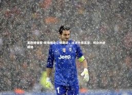 易胜博体育-现场观众心情激动，球迷热情高涨，观众冲进球场